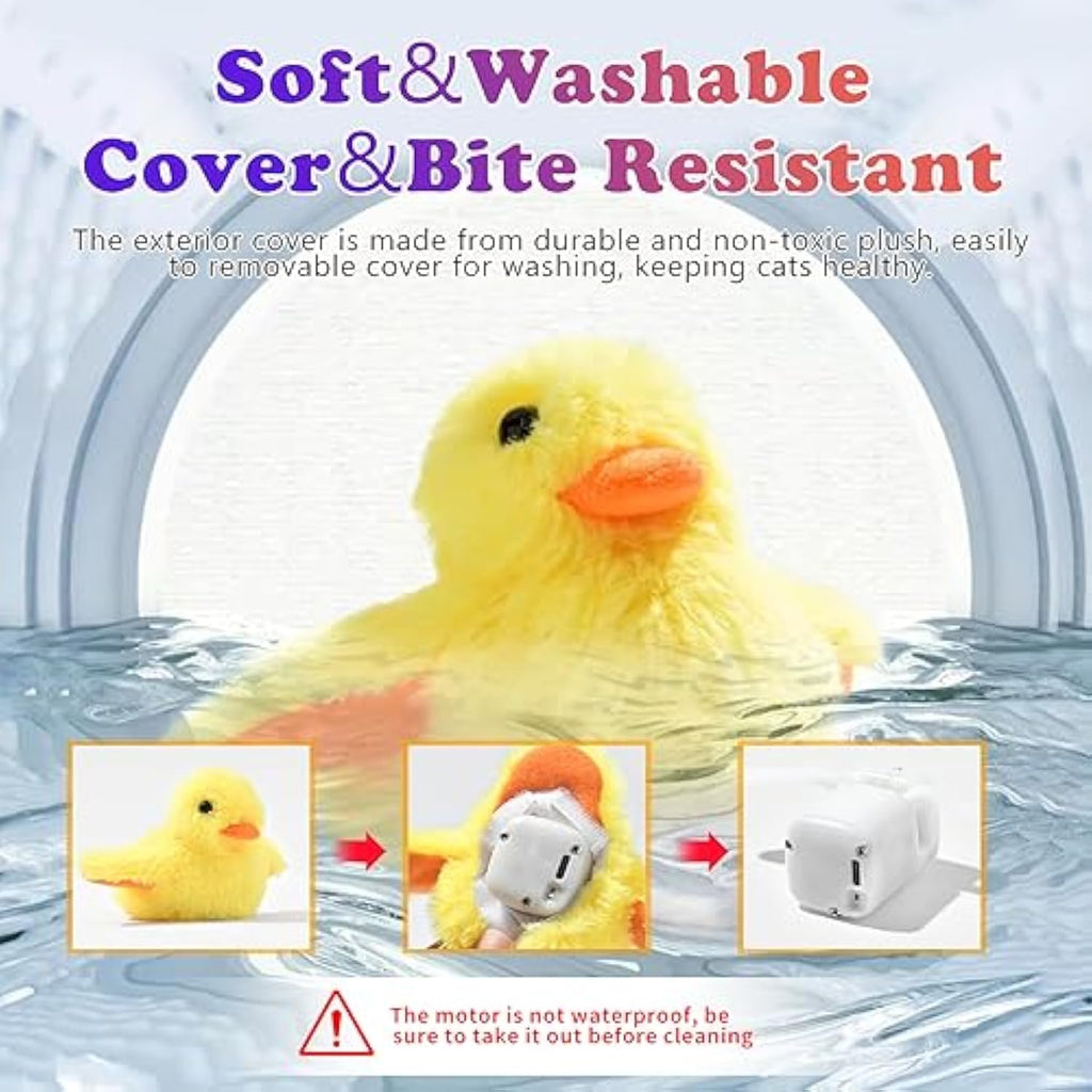 8e3f532627459fc44f1c341089ccf8c